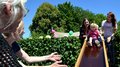 Kiga-Kids sausen in die Zukunft